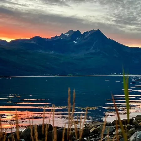 Apartamento Artic Dream Gratangen