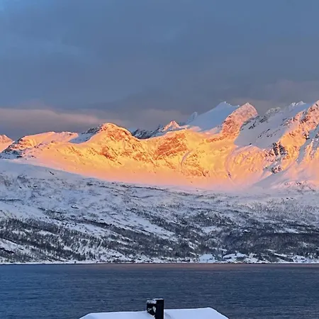 Arctic Dream Gratangen