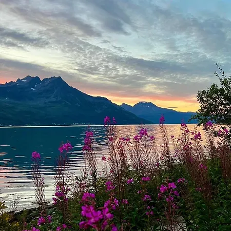 Artic Dream Apartment