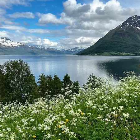 Apartment Artic Dream Gratangen