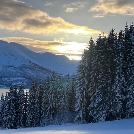 Apartamento Artic Dream Gratangen