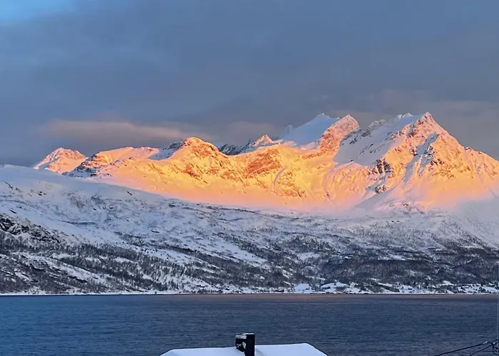 Arctic Dream Gratangen