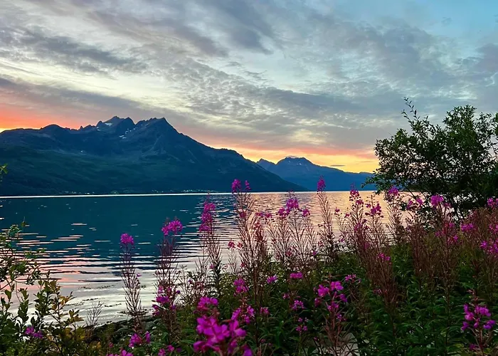 Arctic Dream Appartamento