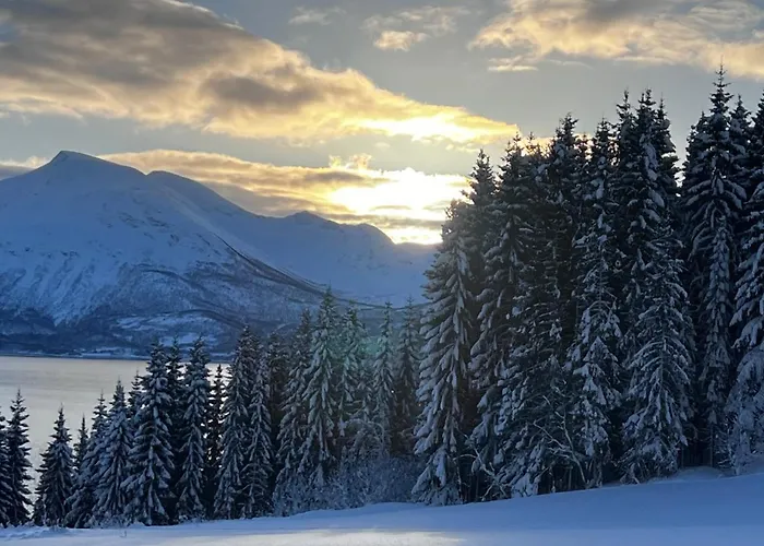 Appartamento Arctic Dream Gratangen