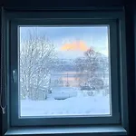 Arctic Dream