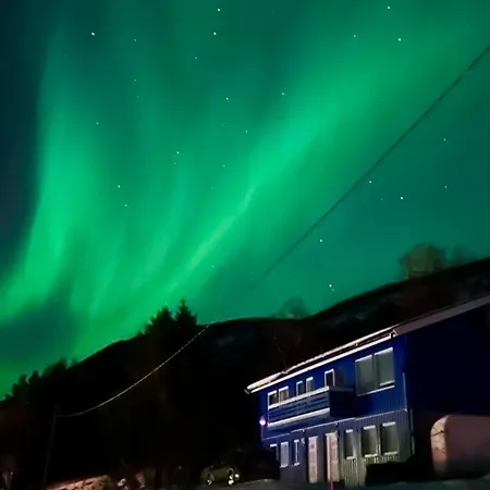 Arctic Dream