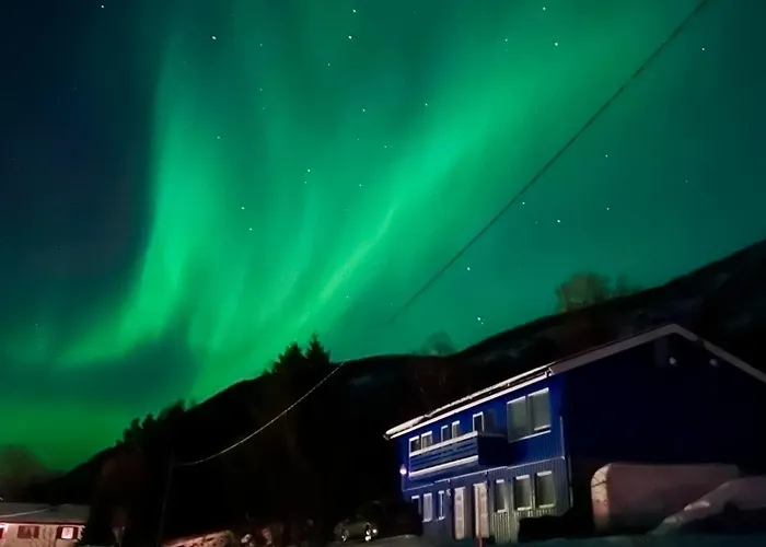 Arctic Dream