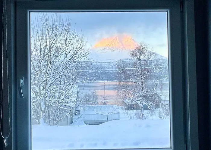 Arctic Dream